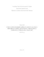 Utjecaj financijskih aspekata kod ulaganja u rehabilitacijske aktivnosti u obiteljima s osobama s teškoćama u razvoju